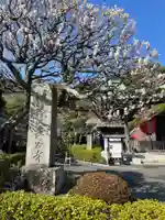 長谷寺(神奈川県)