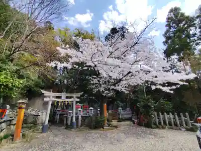 伏見稲荷本教間力教会(京都府)