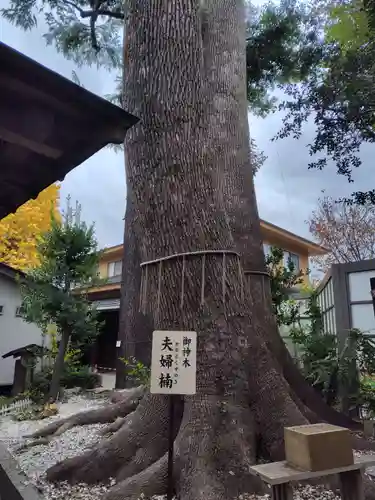 鳩ヶ谷氷川神社(埼玉県)