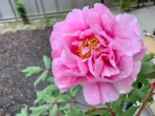 滑川神社 - 仕事と子どもの守り神の自然