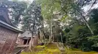 依居神社(福井県)