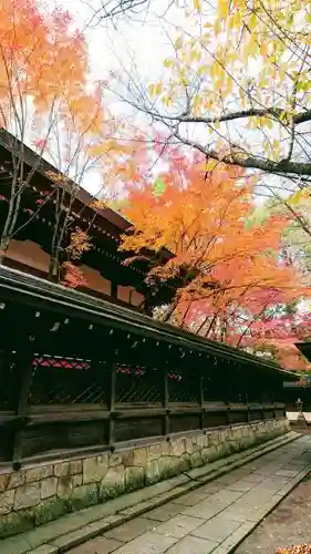 御霊神社（上御霊神社）の自然