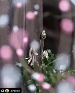 滑川神社 - 仕事と子どもの守り神(福島県)(2023年02月28日(火) 15時13分08秒投稿)