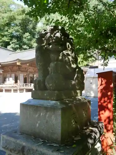 金刀比羅神社の狛犬