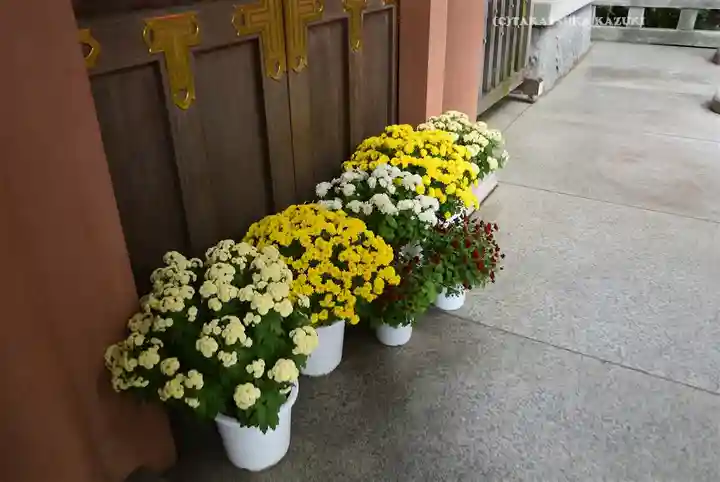 東京大神宮(東京都)