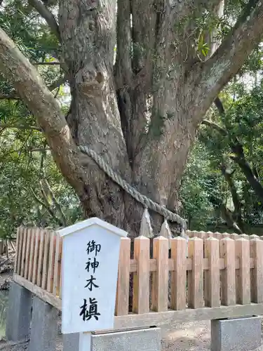 安房神社の自然