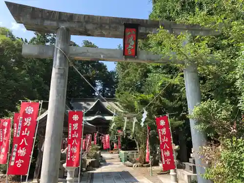 男山八幡神社の鳥居