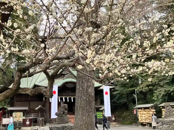谷保天満宮(東京都)