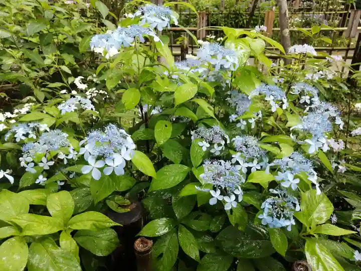 矢田寺(奈良県)