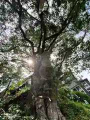 武蔵御嶽神社(東京都)