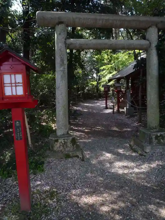鷲宮神社の鳥居