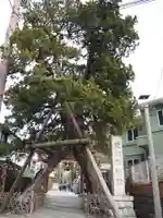荏柄天神社(神奈川県)