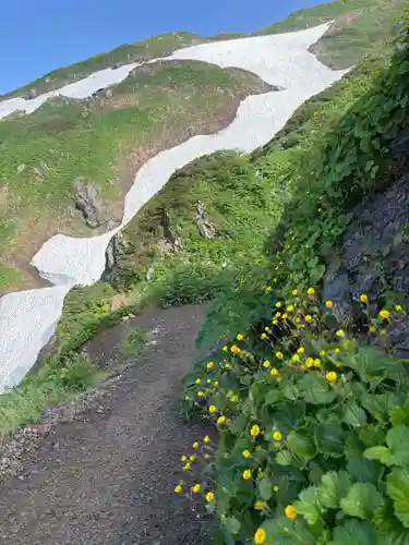 白山比咩神社　奥宮(石川県)