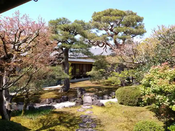 妙顯寺(妙顕寺)(京都府)