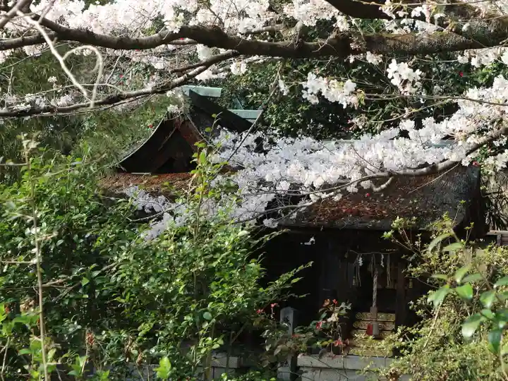 宗像神社の自然
