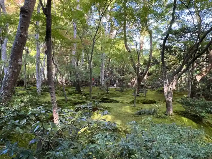 祇王寺(京都府)