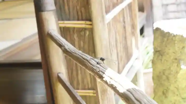 詩仙堂(丈山寺)(京都府)