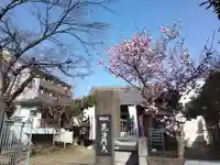 微妙庵のその他建物