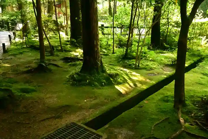 狭井坐大神荒魂神社(狭井神社)(奈良県)