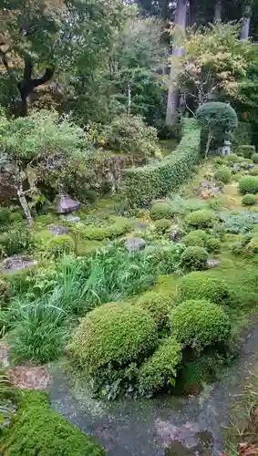 三千院門跡の庭園