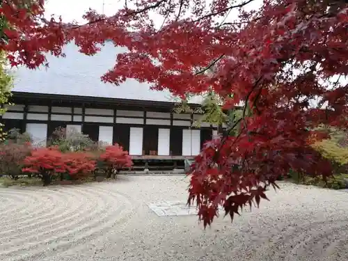 月山寺の庭園