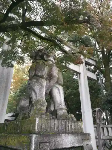 秩父神社の狛犬