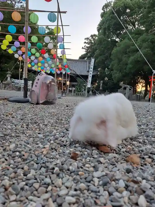 大御和神社(徳島県)