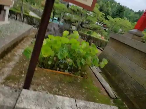 大谷寺(福井県)