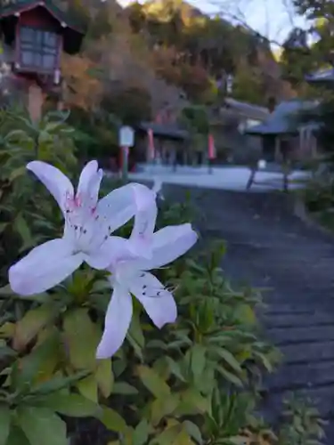 浄心寺の庭園