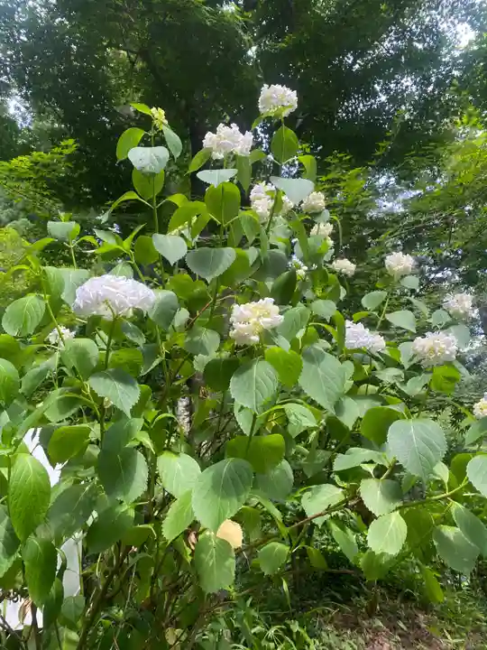 石都々古和気神社(福島県)
