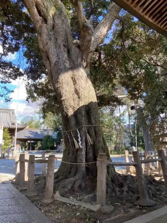 小宅神社のその他建物