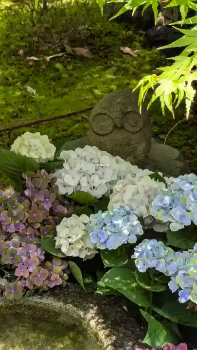 勝林寺(京都府)