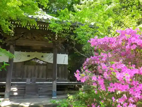 安國論寺（安国論寺）の自然