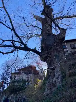 武蔵御嶽神社(東京都)
