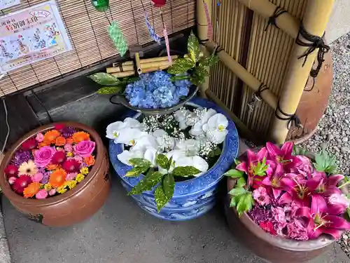 札幌護國神社の手水