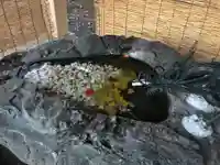 厚別神社の手水舎