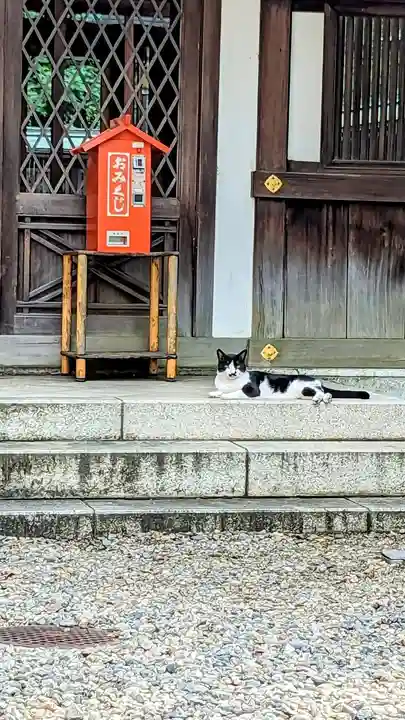 白金氷川神社の動物