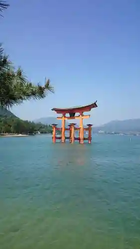 厳島神社の鳥居