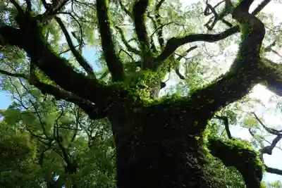 熊野那智大社(和歌山県)
