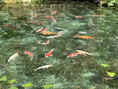 根道神社(岐阜県)