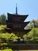 西明寺の{uncategorized: "未分類", other: "その他", undefined: "問題あり", building: "その他建物", grave: "お墓", sacred_gate: "鳥居", guardian: "狛犬", statue: "像", buddha: "仏像", history: "歴史", nature: "自然", garden: "庭園", animal: "動物", pagoda: "塔", temizu: "手水舎", mountain_gate: "山門・神門", sanctuary: "本殿・本堂", subordinate: "末社・摂社", art: "芸術", scenery: "景色", jizo: "地蔵", ema: "絵馬", goshuin: "御朱印", omikuji: "おみくじ", items: "授与品その他", amulet: "お守り", goshuincho: "御朱印帳", eats: "食事", festival: "お祭り", votive_dance: "神楽", shichigosan: "七五三参", wedding: "結婚式", experience: "体験その他", initially: "初詣", around: "周辺", anti_infection: "感染症対策"}