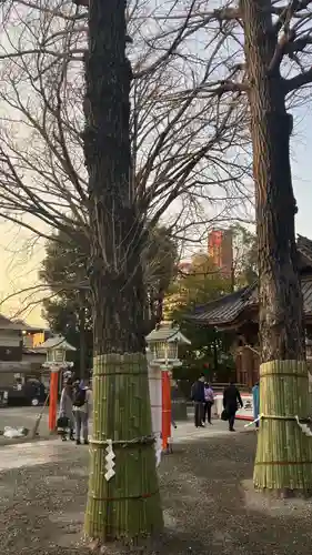 田無神社(東京都)