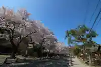宝登山神社のその他建物