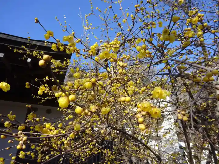 横浜 西方寺(神奈川県)