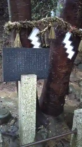 野間神社の自然