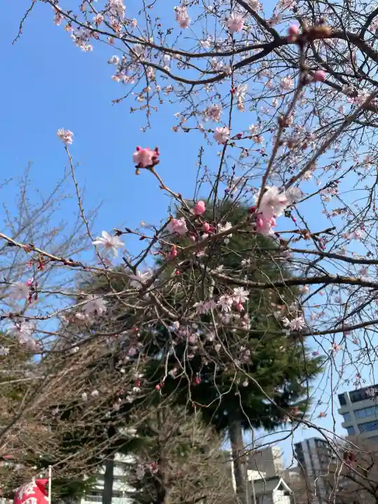 櫻岡大神宮の{uncategorized: "未分類", other: "その他", undefined: "問題あり", building: "その他建物", grave: "お墓", sacred_gate: "鳥居", guardian: "狛犬", statue: "像", buddha: "仏像", history: "歴史", nature: "自然", garden: "庭園", animal: "動物", pagoda: "塔", temizu: "手水舎", mountain_gate: "山門・神門", sanctuary: "本殿・本堂", subordinate: "末社・摂社", art: "芸術", scenery: "景色", jizo: "地蔵", ema: "絵馬", goshuin: "御朱印", omikuji: "おみくじ", items: "授与品その他", amulet: "お守り", goshuincho: "御朱印帳", eats: "食事", festival: "お祭り", votive_dance: "神楽", shichigosan: "七五三参", wedding: "結婚式", experience: "体験その他", initially: "初詣", around: "周辺", anti_infection: "感染症対策"}