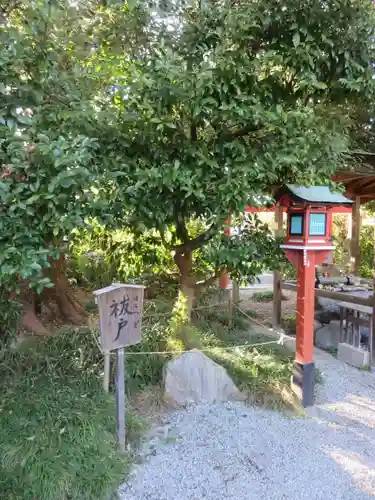 源九郎稲荷神社の自然