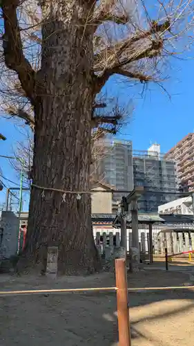 出世稲荷神社(埼玉県)