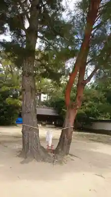 白鳥神社のその他建物