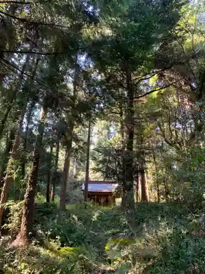 山王大権現(千葉県)